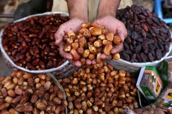 تصویر 5 از خرید خرما خاصویی درجه یک + قیمت فروش استثنایی